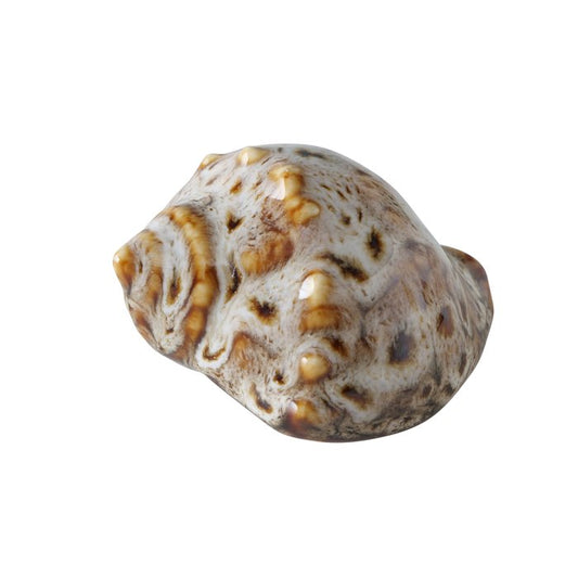 Muschel Keramik, verschiedene Ausführungen