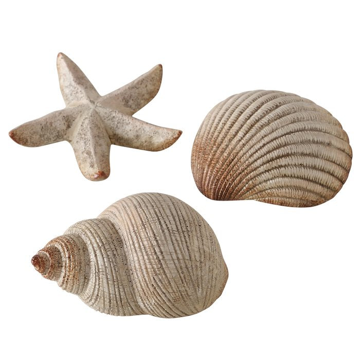 muscheln aufbewahren Muschel Deko, verschiedene Ausführungen – HOF&HEIM Conceptstore