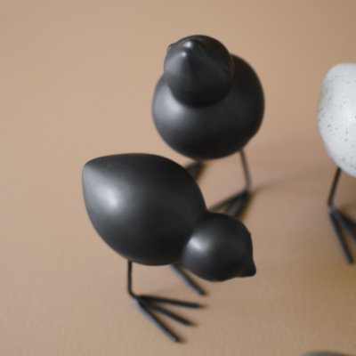 DBKD Swedish Birds Vögel Set schwarz