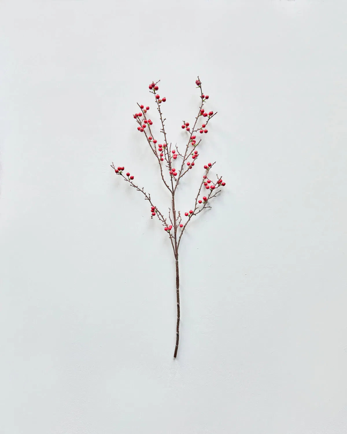 House Doctor Beerenzwei rot 97 cm