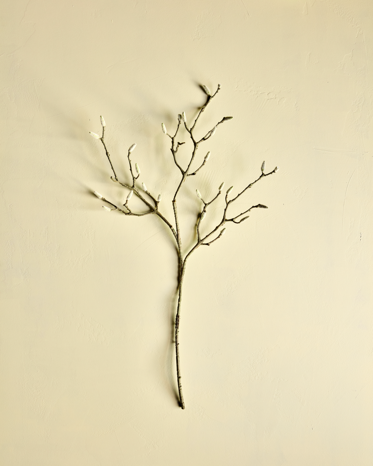 House Doctor Zweig Magnolie 95 cm