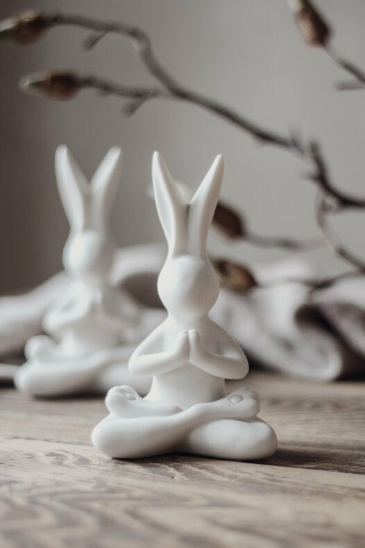 Majas Cottage Yoga Hase Lotussitz