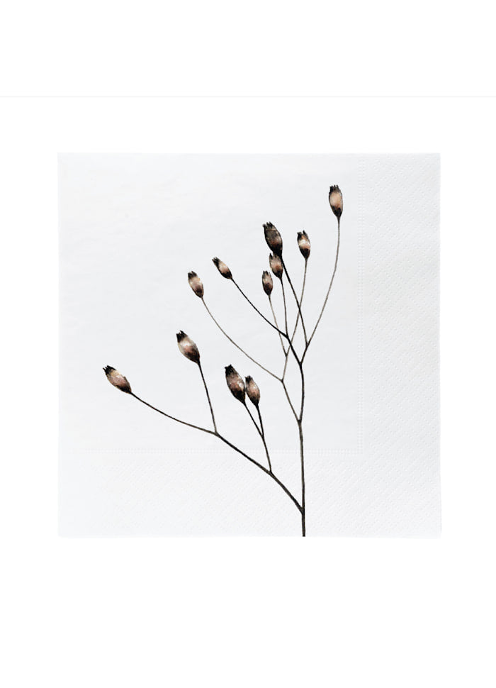 SÖGNE Servietten RAINKOHL