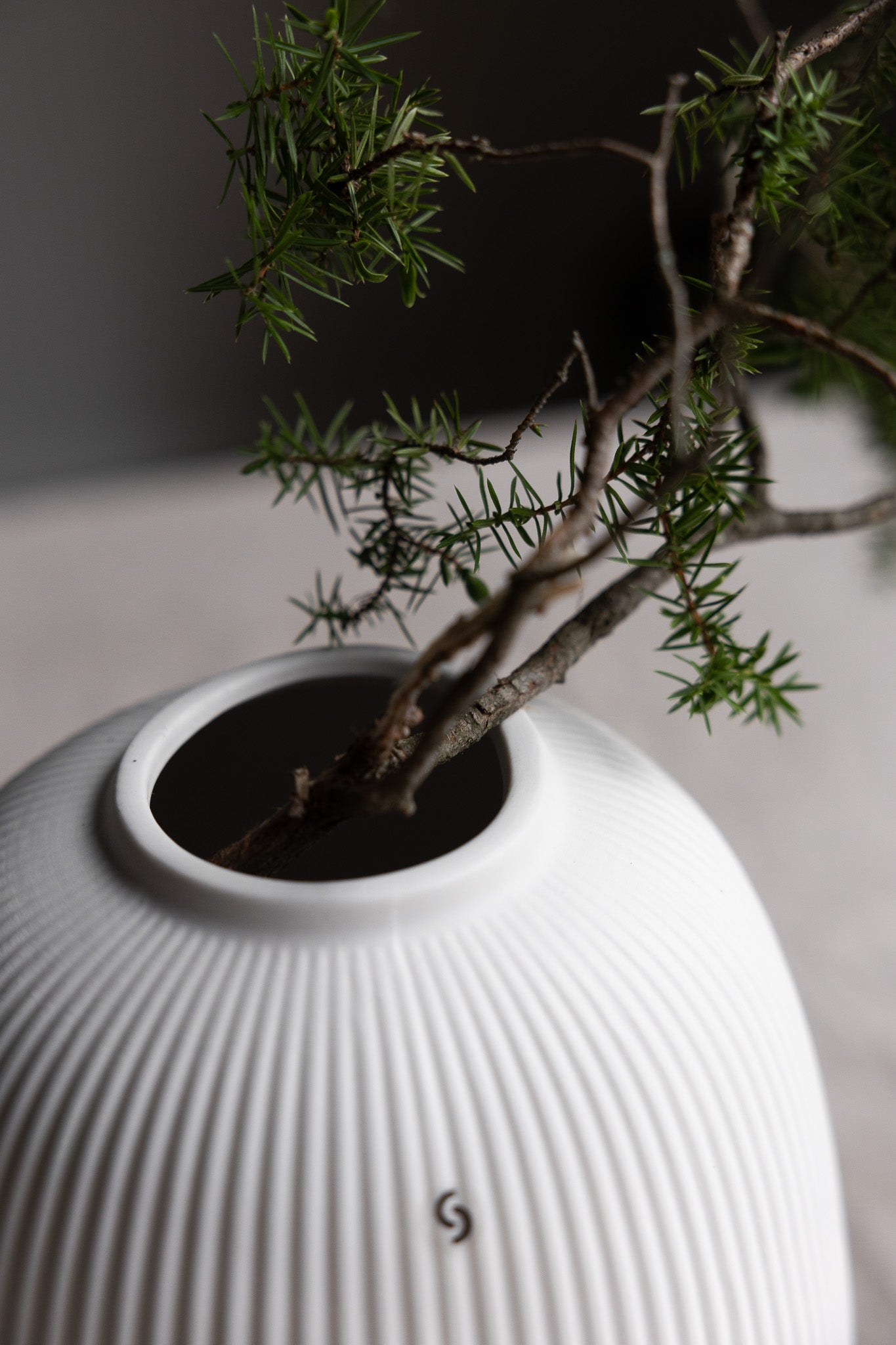 Storefactory Vase Aby, verschiedene Gößen