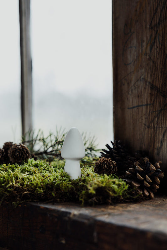 Storefactory Pilz BOHULT 3 x 6 cm matt weiß