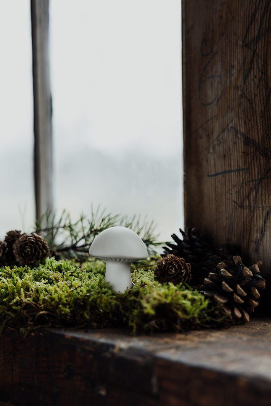 Storefactory Pilz BOVIK 4 x 5 cm matt weiß