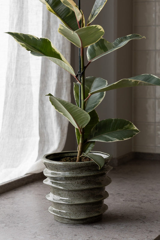 Storefactory Übertopf HAVSNÄS olive grün