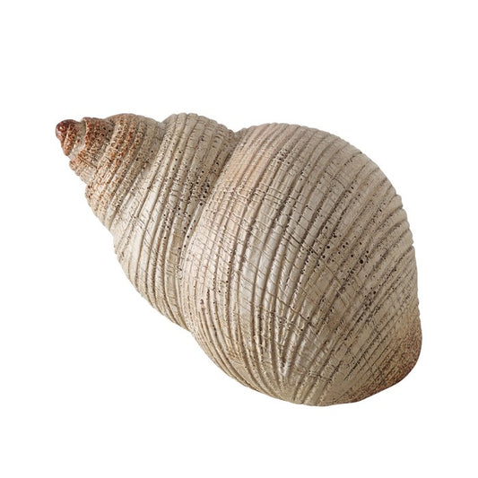 Muschel Deko, verschiedene Ausführungen