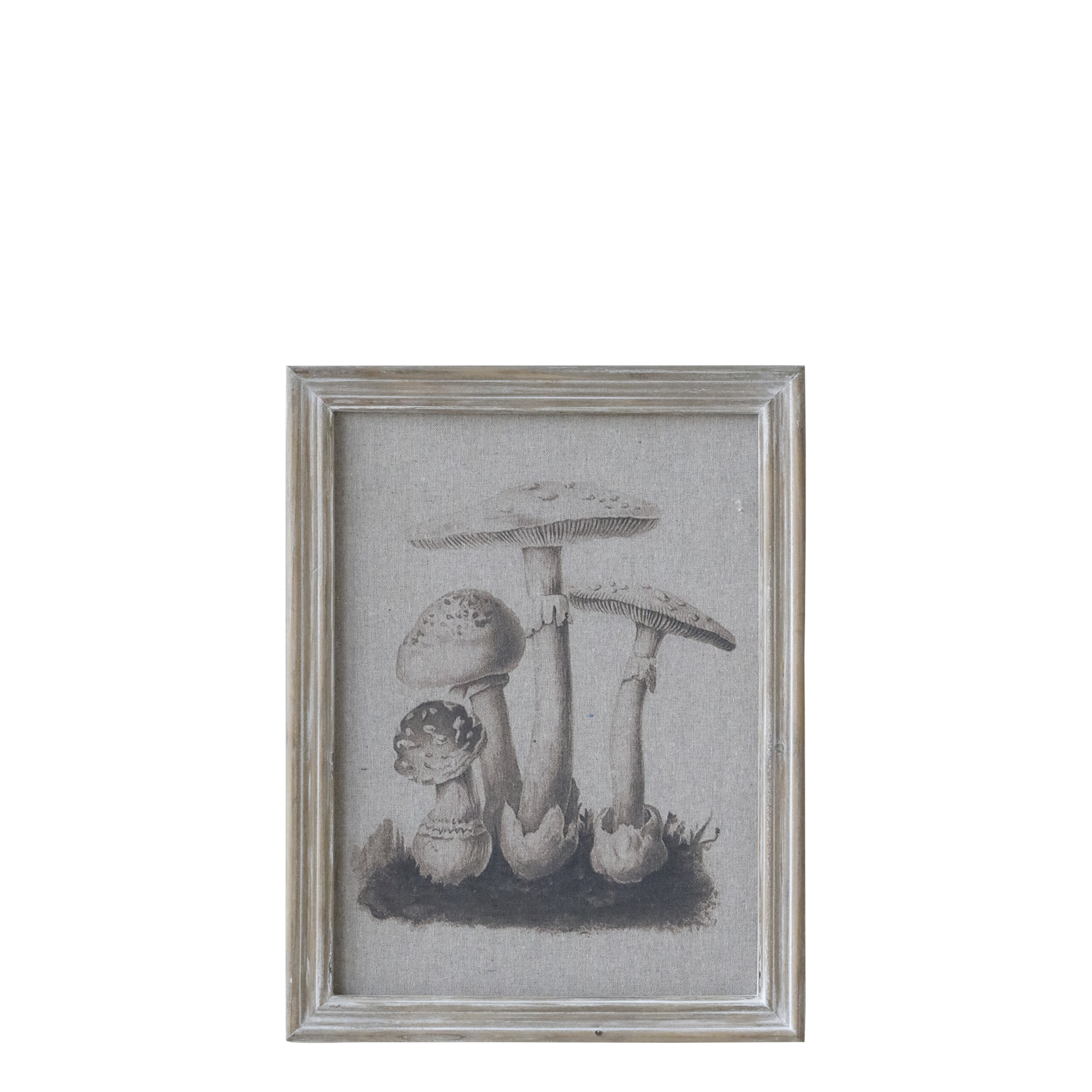 Chic Antique Bild mit Rahmen PILZE Fliegenpilz