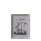 Chic Antique Bild mit Rahmen PILZE Fliegenpilz