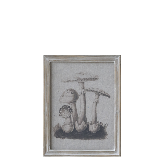Chic Antique Bild mit Rahmen PILZE Fliegenpilz