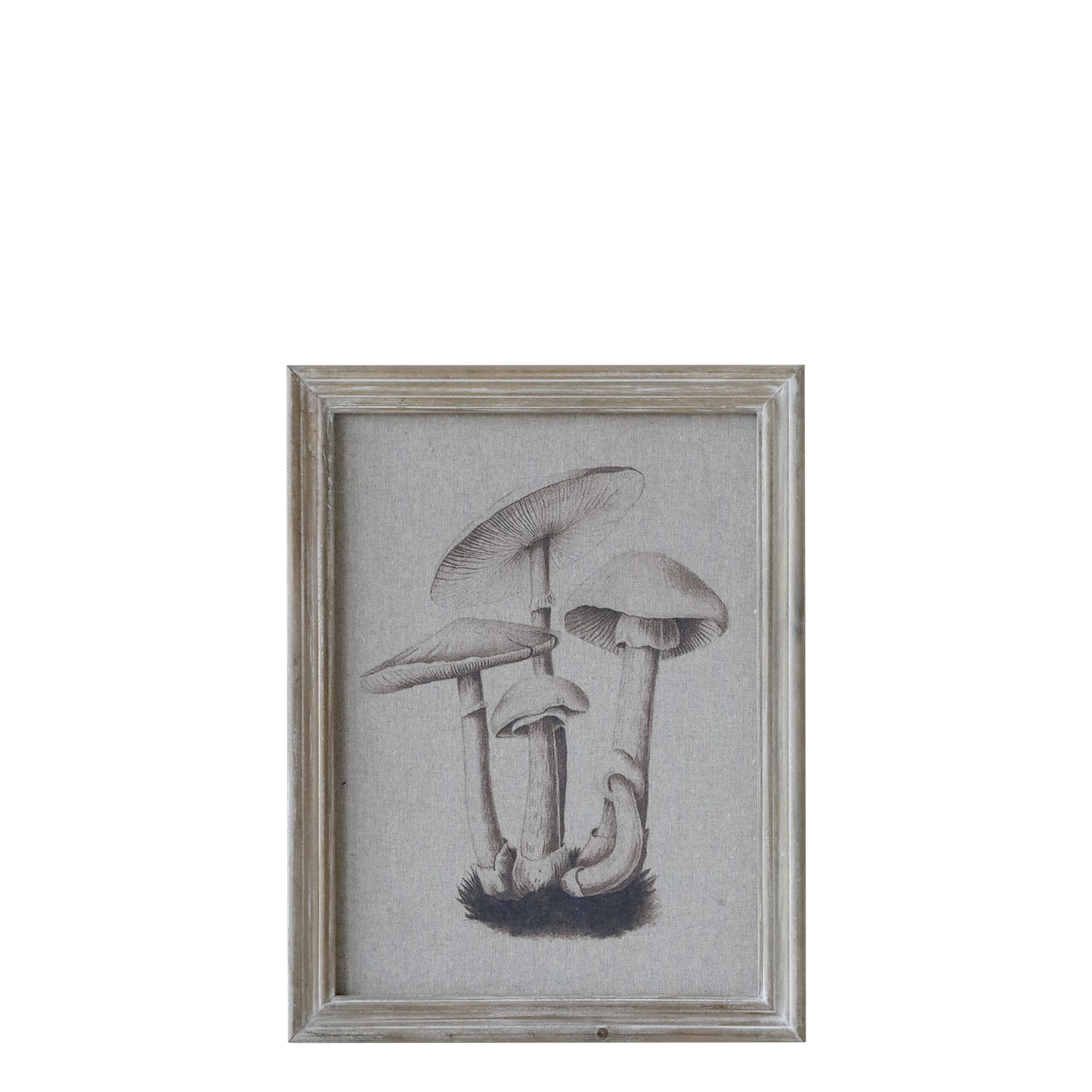 Chic Antique Bild mit Rahmen PILZE Steinpilz