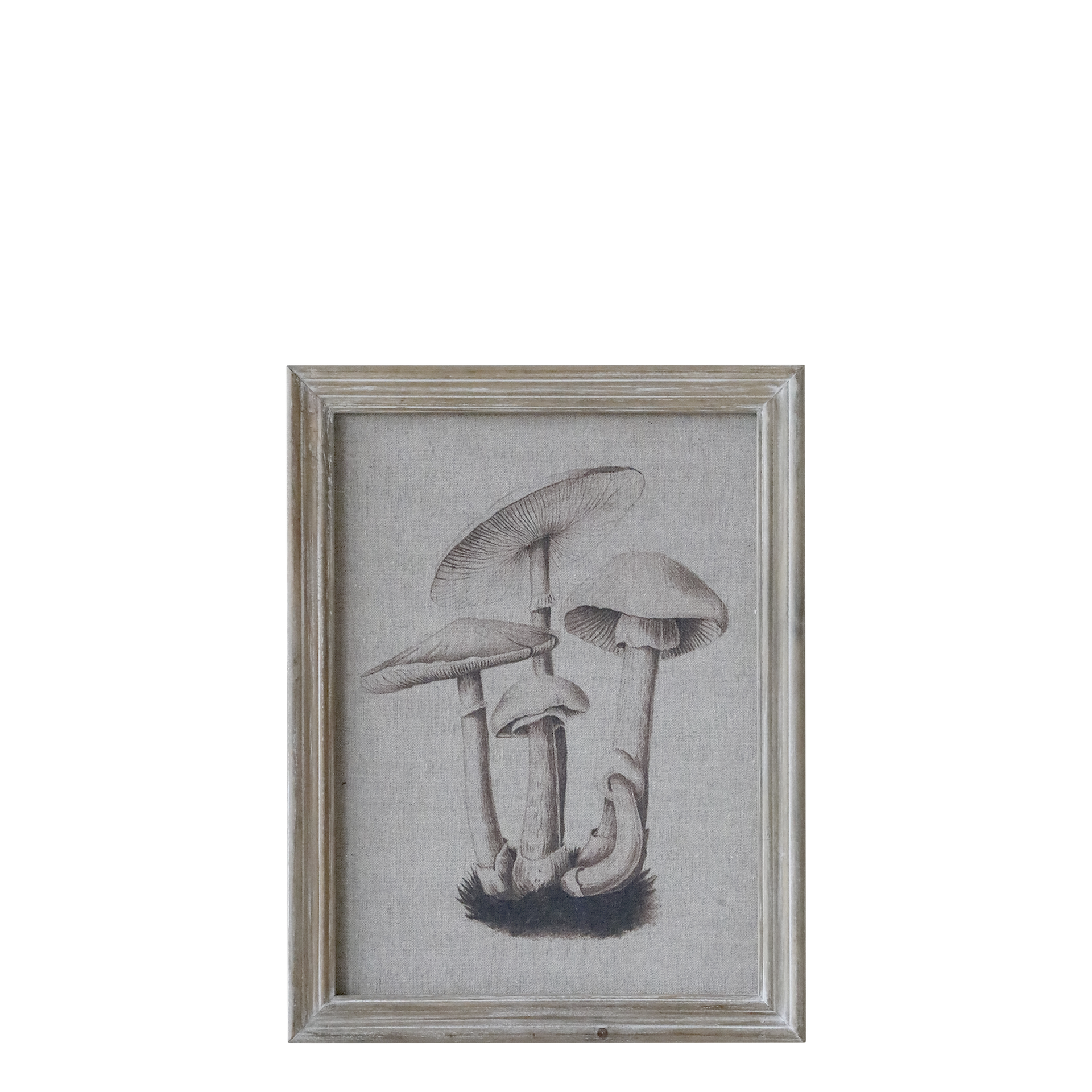 Chic Antique Bild mit Rahmen PILZE Steinpilz