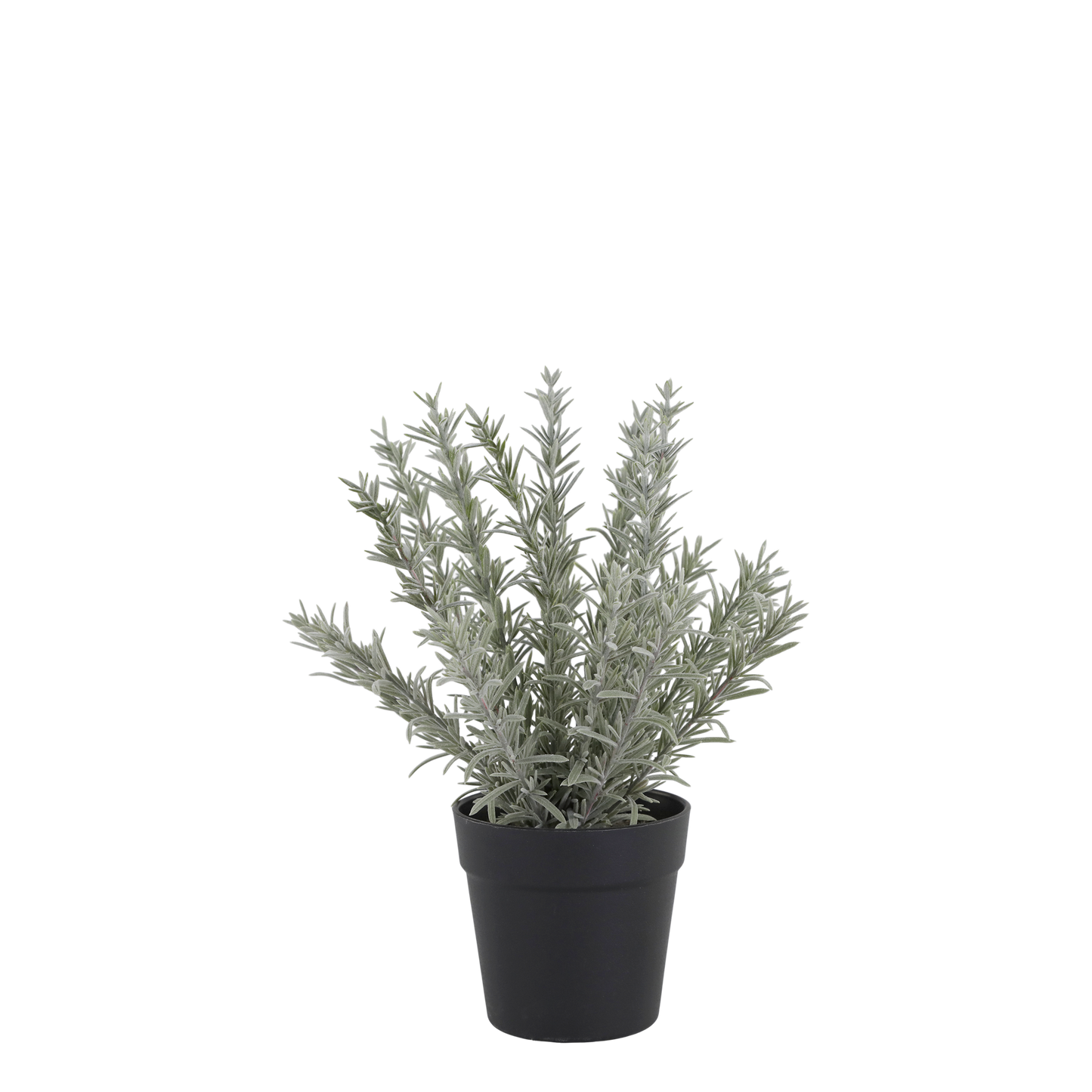 Chic Antique künstlicher ROSMARIN 30 cm – HOF&HEIM Conceptstore