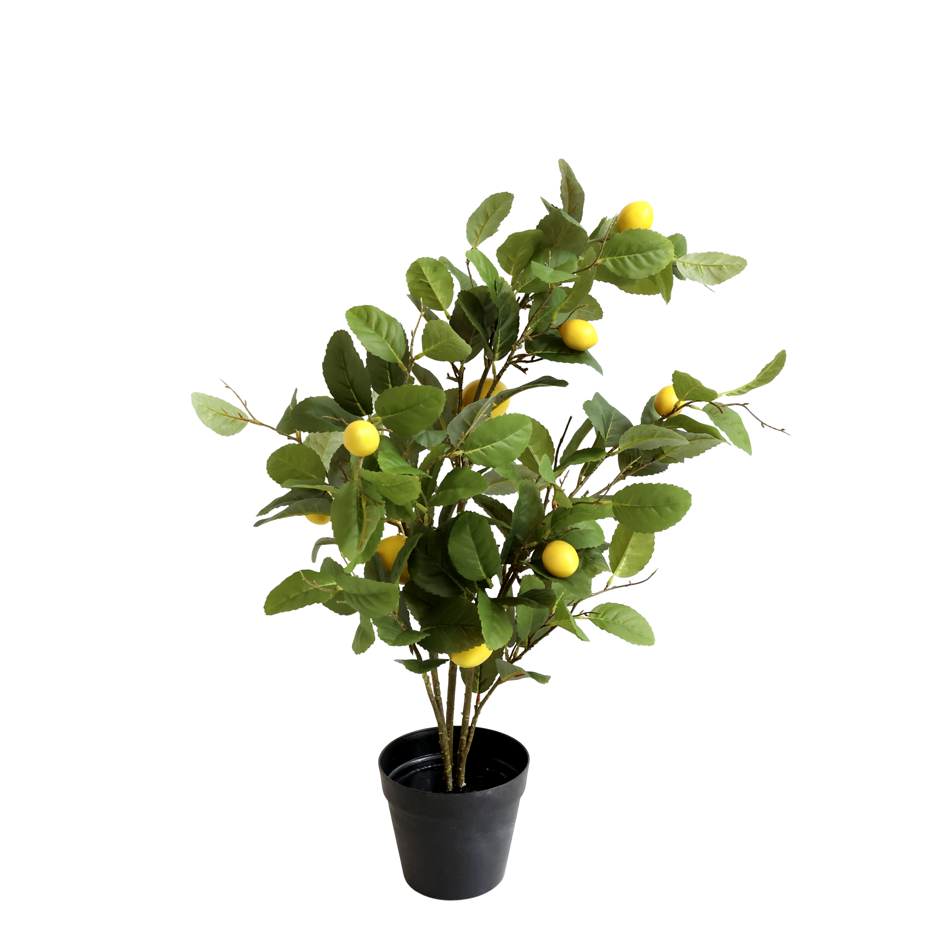 Chic Antique Zitronenbaum 80 cm