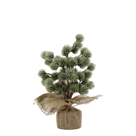 Chic Antique ZEDERNBAUM mit Schnee, verschiedene Größen