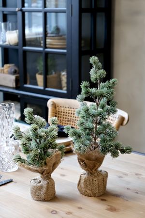 Chic Antique ZEDERNBAUM mit Schnee, verschiedene Größen