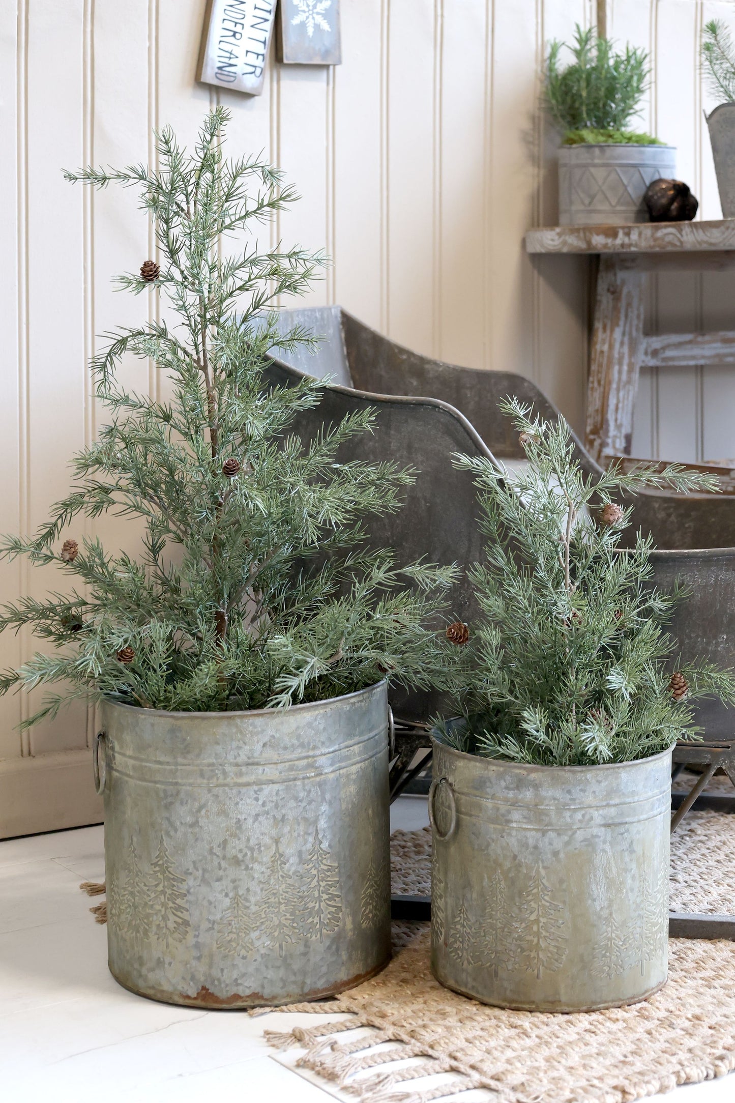 Chic Antique Baum ZEDER mit Zapfen, verschiedene Größen