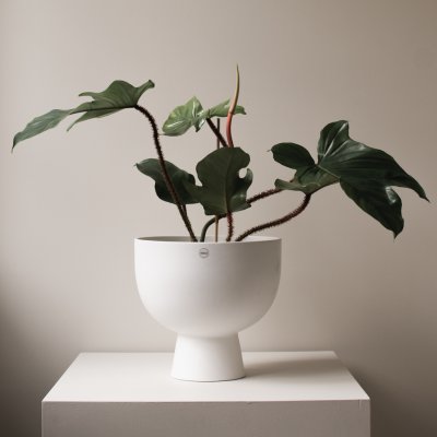 DBKD FIGURE XL Pflanzgefäß / Vase / Sekt- und Weinkühler matt weiß