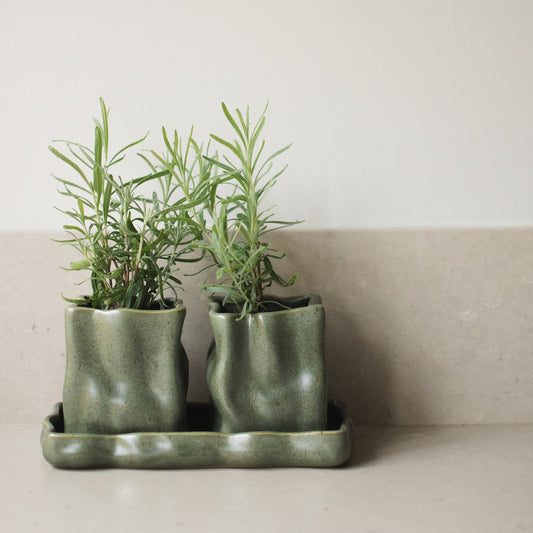DBKD Organizer / Blumentopf HERB moss 3tlg.