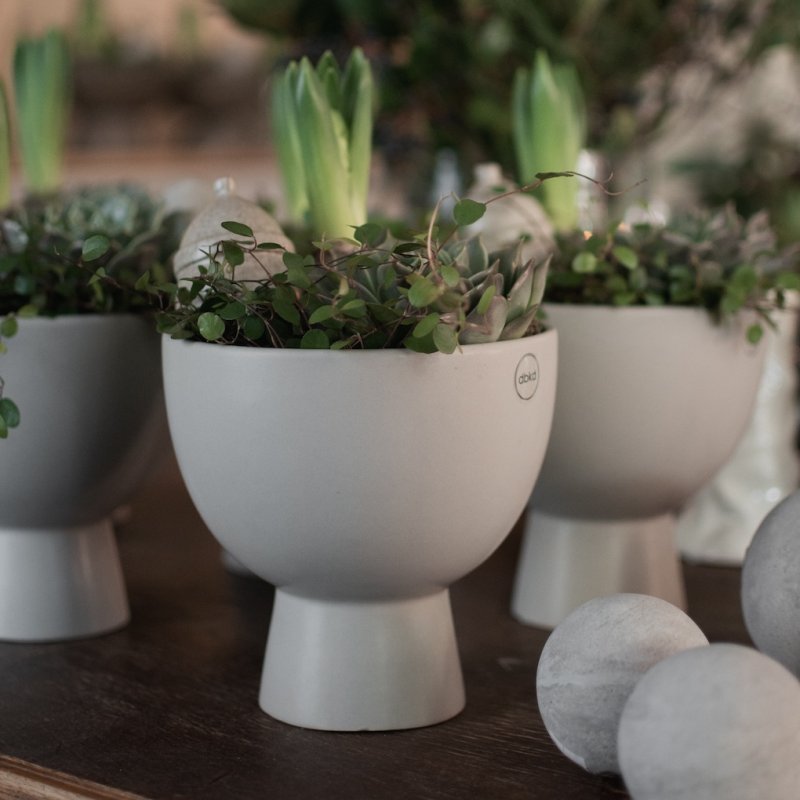 DBKD Vase / Übertopf FIGURE mole