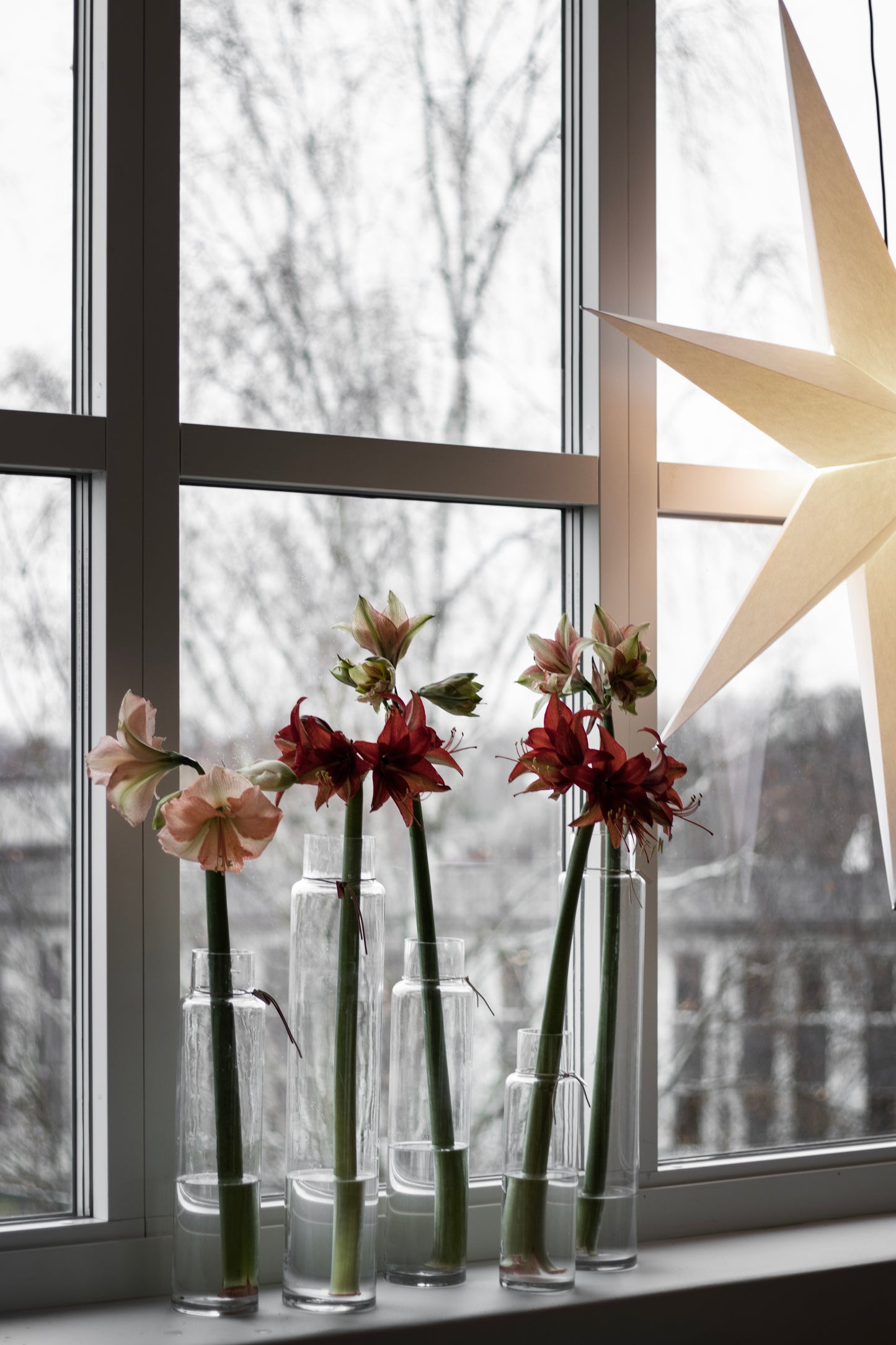 Ernst Glas Vase hoch mit Lederbändchen, verschiedene Größen