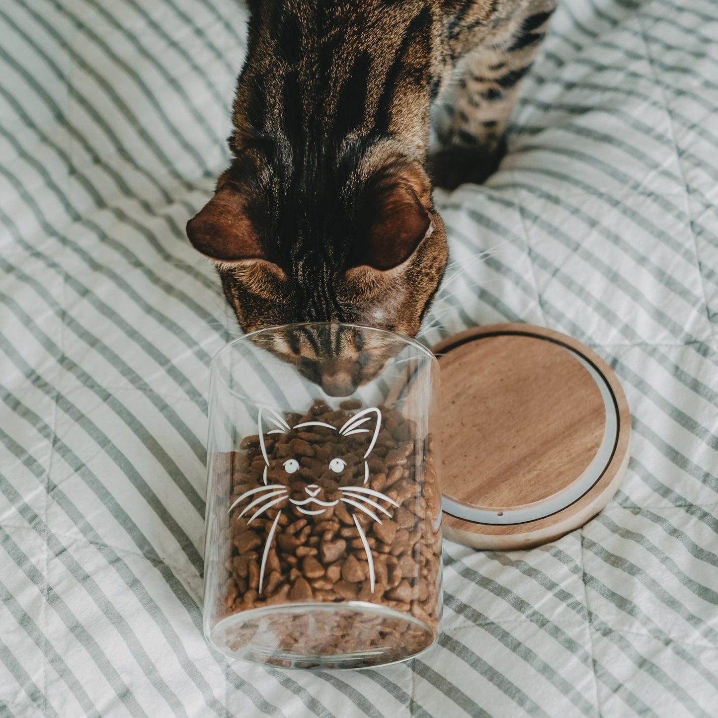 Eulenschnitt Vorratsglas KATZE 13 cm