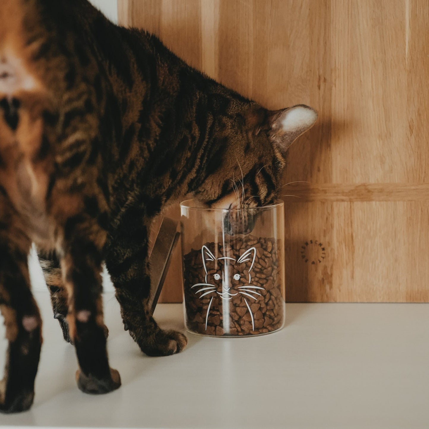 Eulenschnitt Vorratsglas KATZE 13 cm