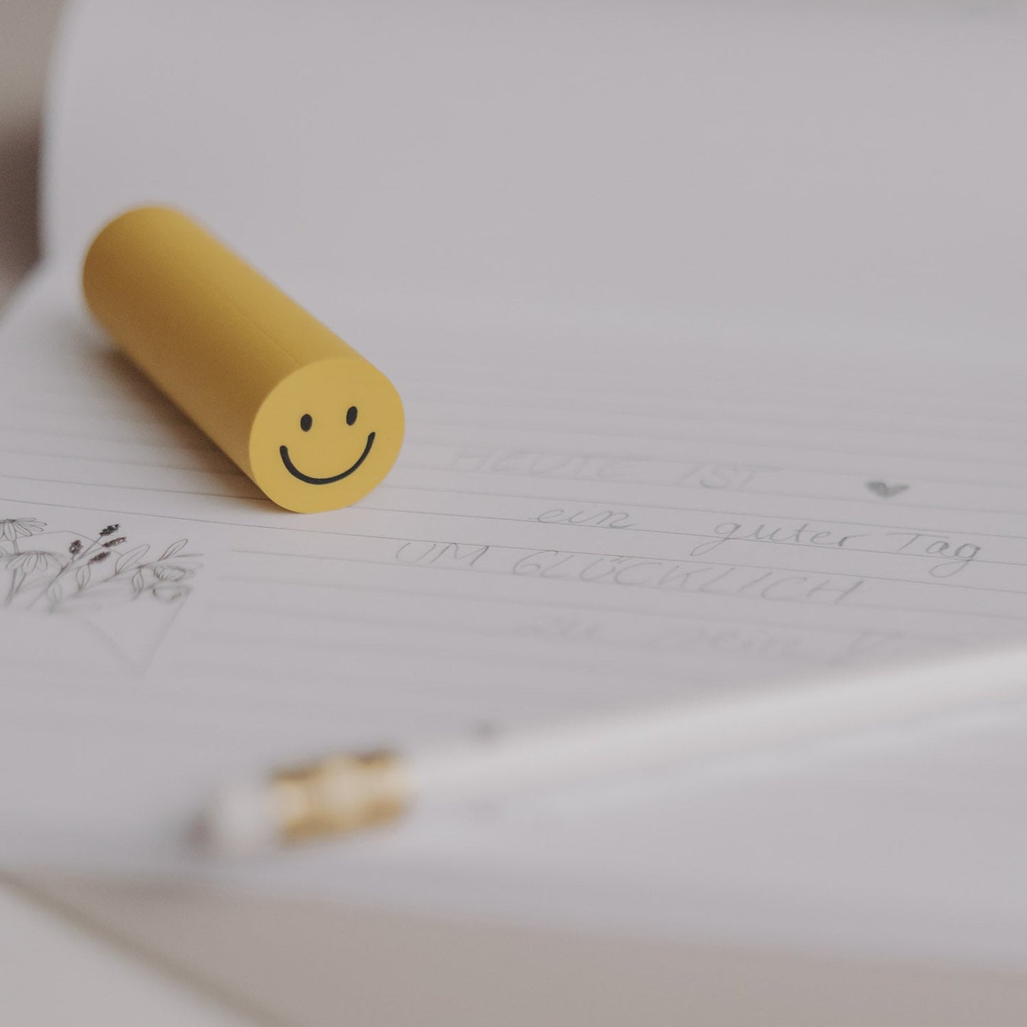 Eulenschnitt Radiergummi SMILEY