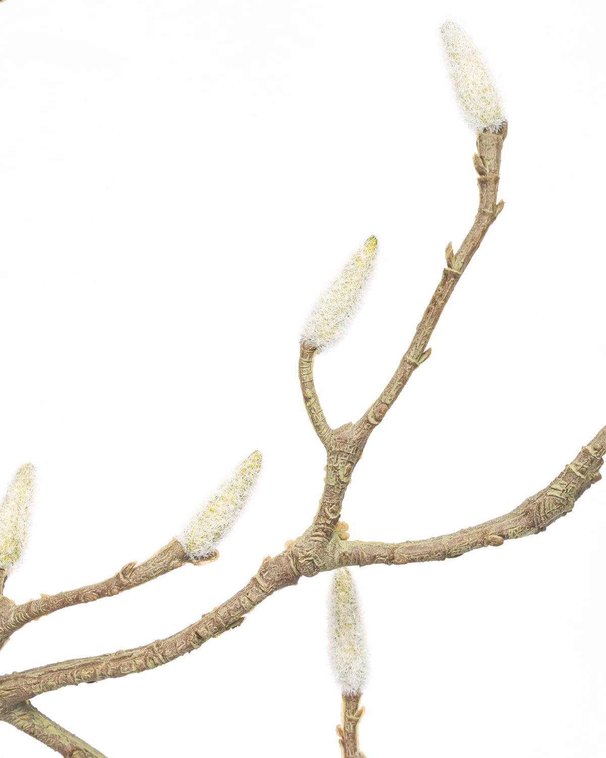 House Doctor Zweig Magnolie 95 cm
