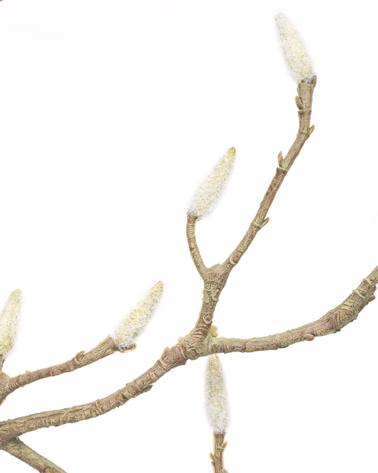 House Doctor Zweig Magnolie 95 cm