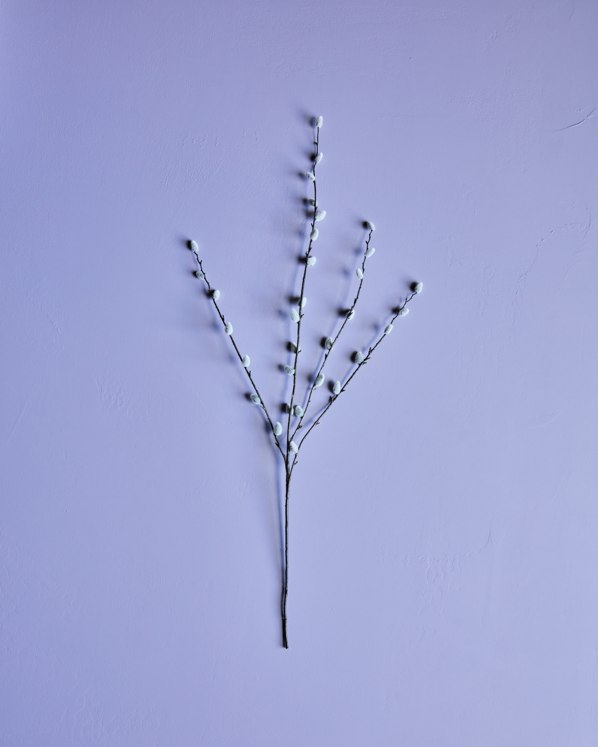 House Doctor Zweig Weidenkätzchen 95 cm
