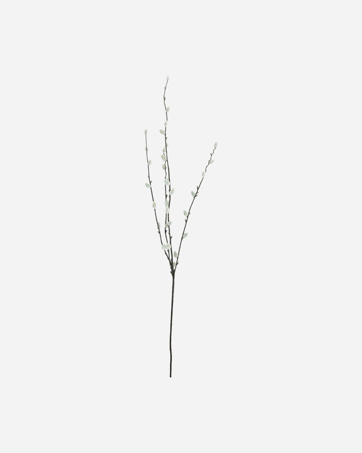 House Doctor Zweig Weidenkätzchen 95 cm