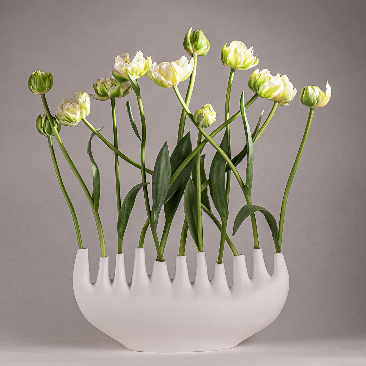 Klatt objects Rhizom Vase, Design Award Winner 2024