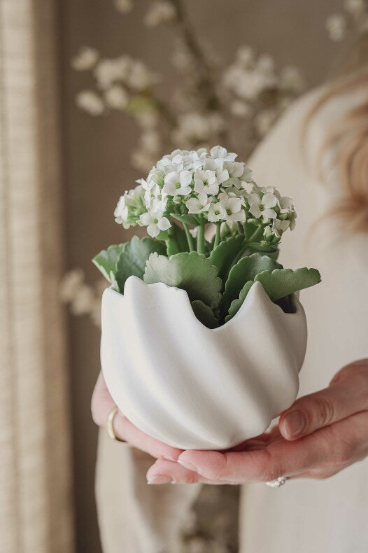 Majas Cottage Schale MUSCHEL, verschiedene Größen