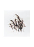 SÖGNE Servietten PAMPAS GRÄSER Aquarell