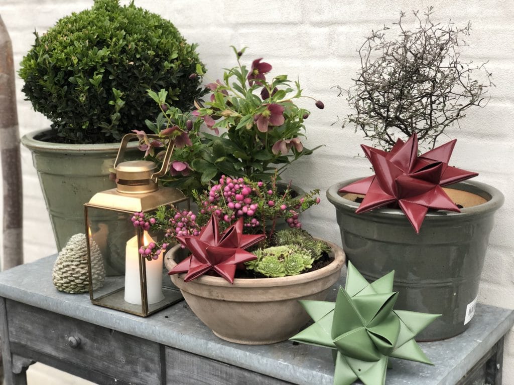 Stjernefabrikken Outdoor Stern large 22 cm, verschiedene Farben