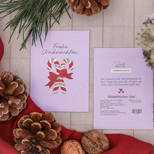 Verblühmeinnicht Saattütchen, verschiedene Ausführungen